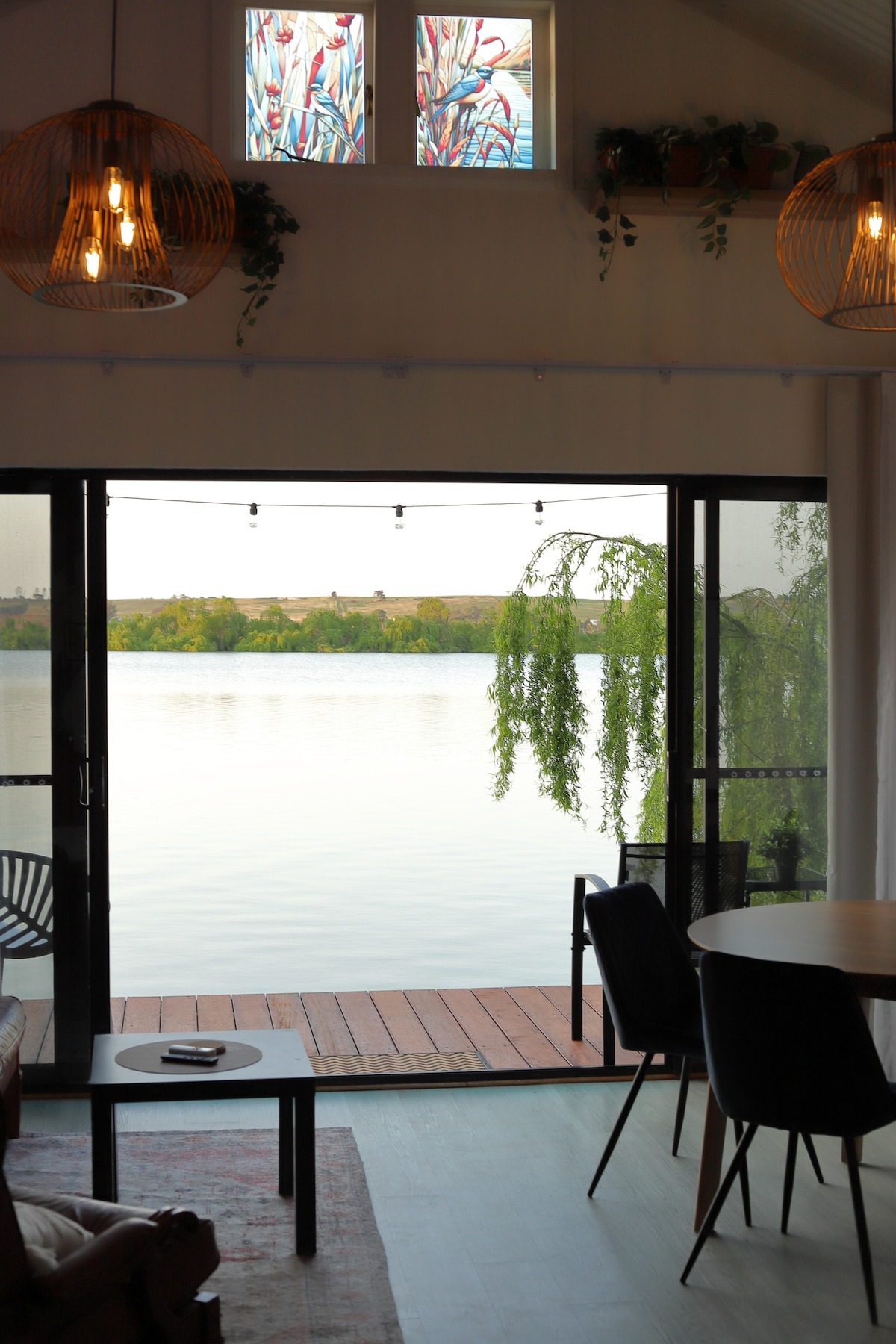 The Welcome Swallow - Image 3